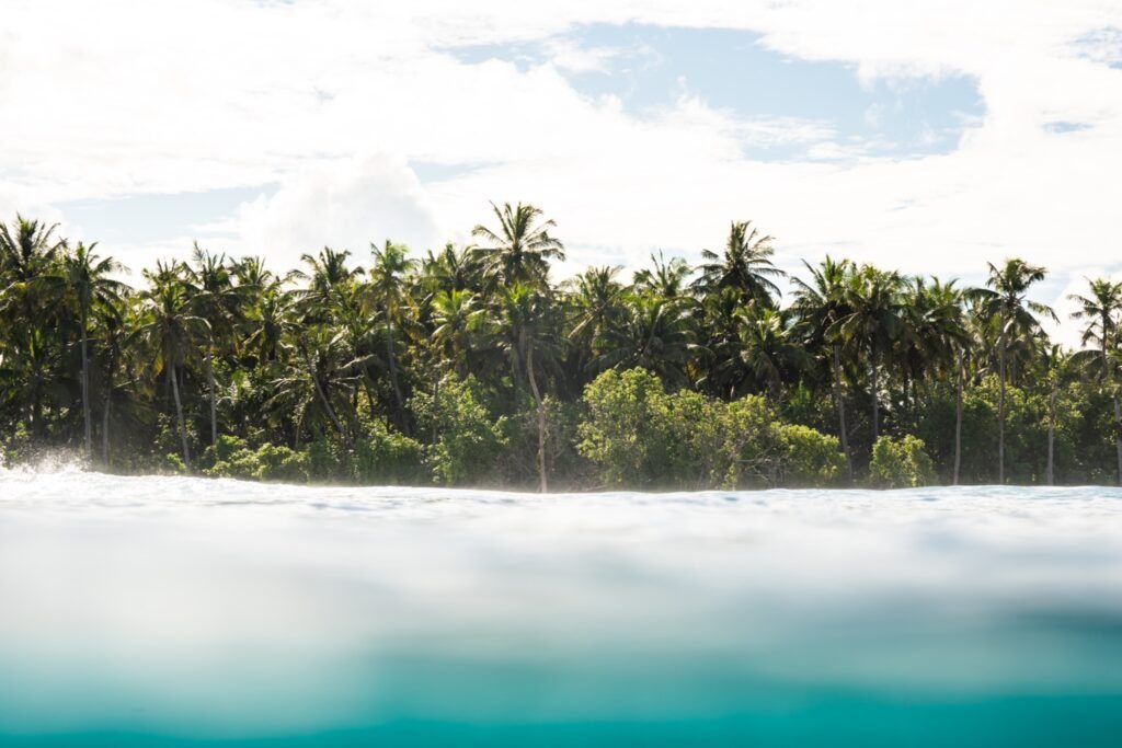 Palm-lined island photographed at water level