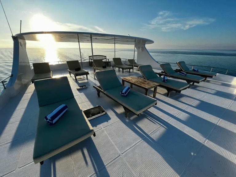Sun loungers and shaded seating on Moonima’s upper deck